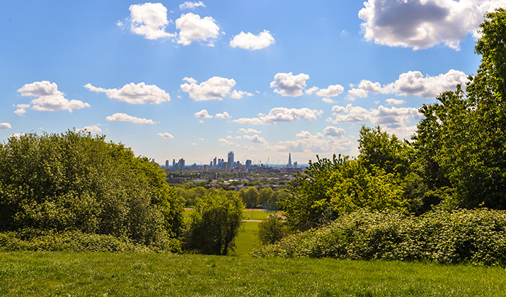 Hampstead Heath