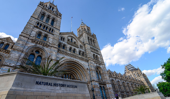 Natural History Museum