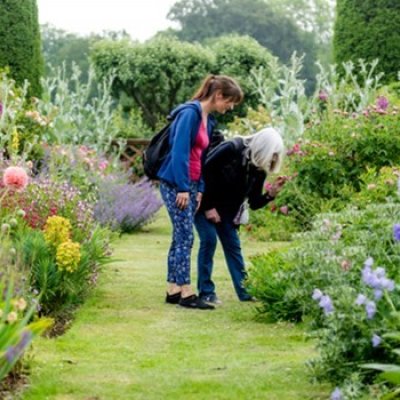 Explore Great British Gardens image